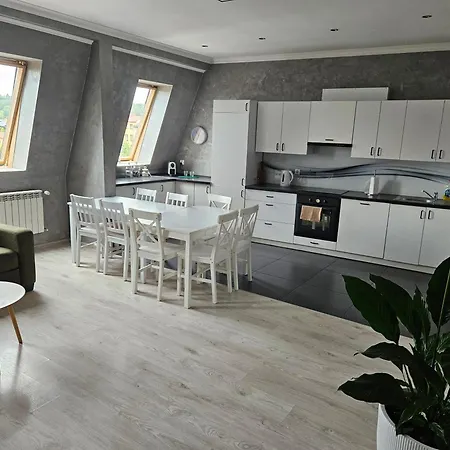 Bracka Loft Apartment Zywiec